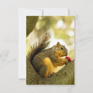 Adorable Squirrel Personalised Greeting Card