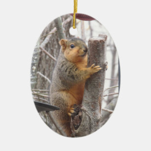 Adorable Squirrel Photo Christmas Ceramic Tree Decoration