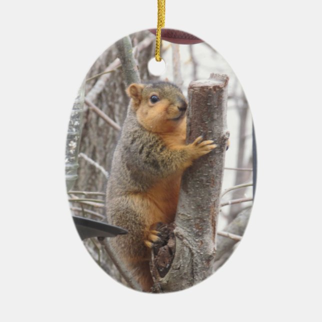 Adorable Squirrel Photo  Christmas Ceramic Tree Decoration (Front)