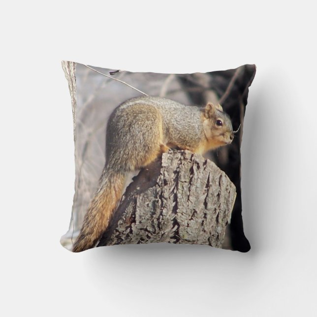 Adorable Squirrel Pillow (Front)