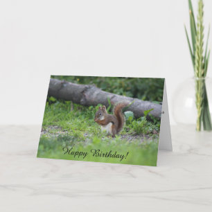 Adorable Squirrel Sitting in the Grass Birthday Card