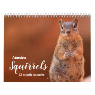 Adorable Squirrels 2026 Calendar