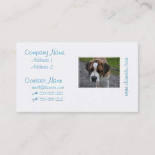 Adorable St Bernard Business Card