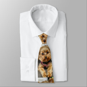 Adorable Tie
