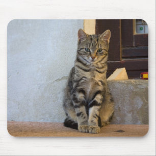 Adorable Tiger Cat Baby Mouse Pad