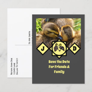 Adorable Twin Ducklings Monogram Photo Invitation Postcard