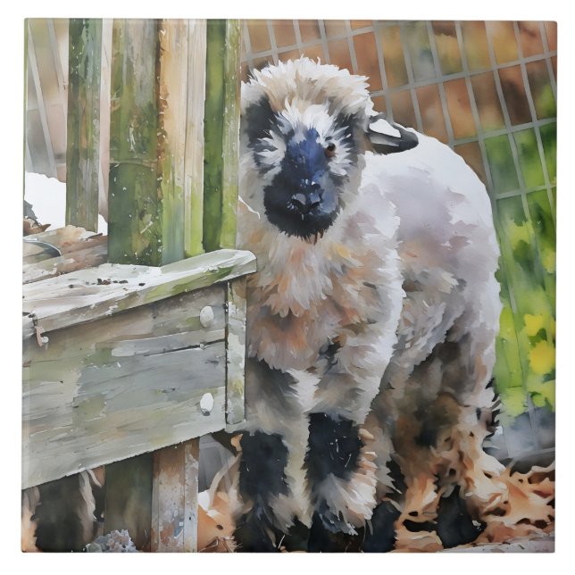 Adorable Valais Cross Lamb  Tile (Front)
