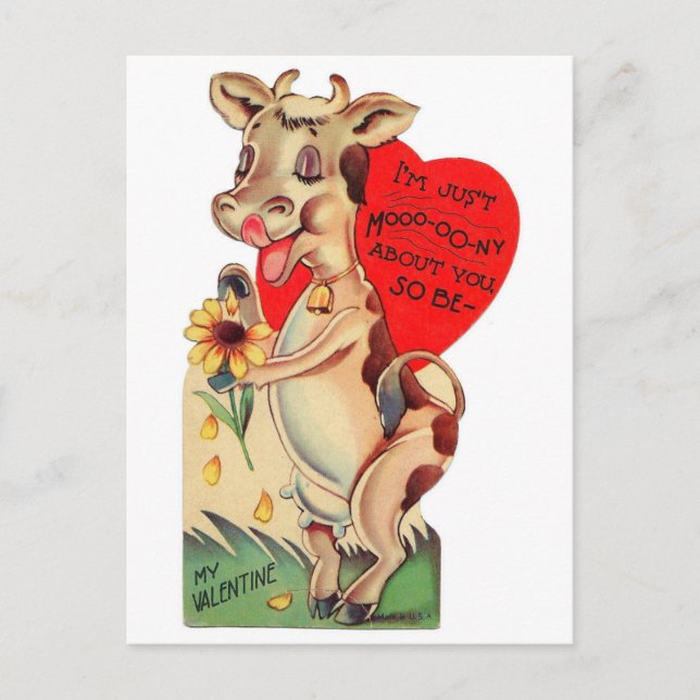 Adorable Valentine Cow Postcard (Front)