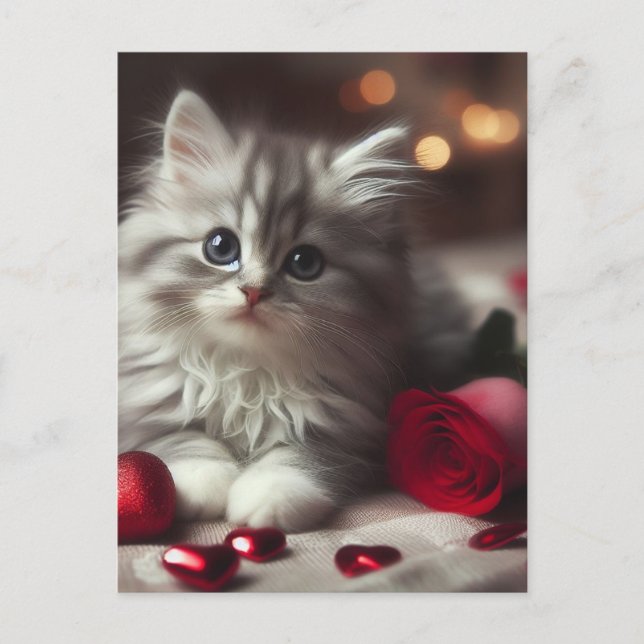 Adorable Valentine Fluffy Grey Kitten Postcard (Front)