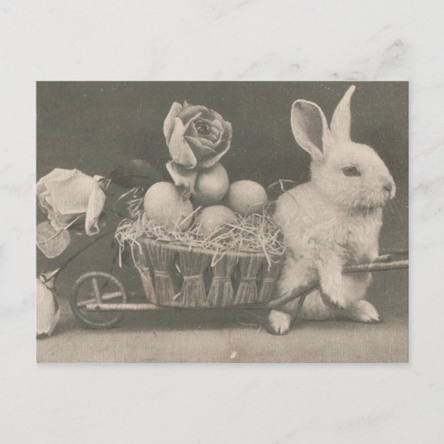 Adorable Vintage Easter Rabbit Holiday Postcard (Front)