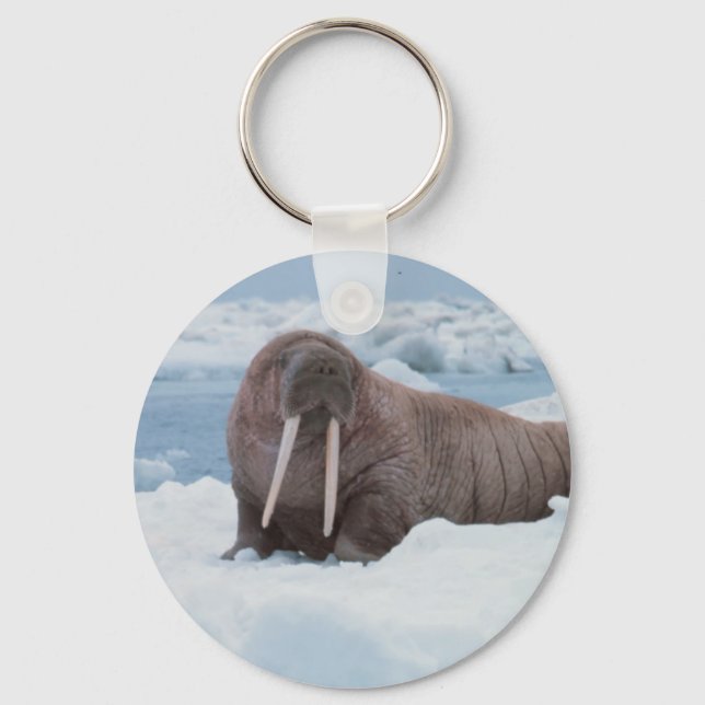 Adorable Walrus Key Ring (Front)