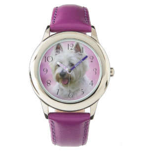 Adorable west highland white terrier watch
