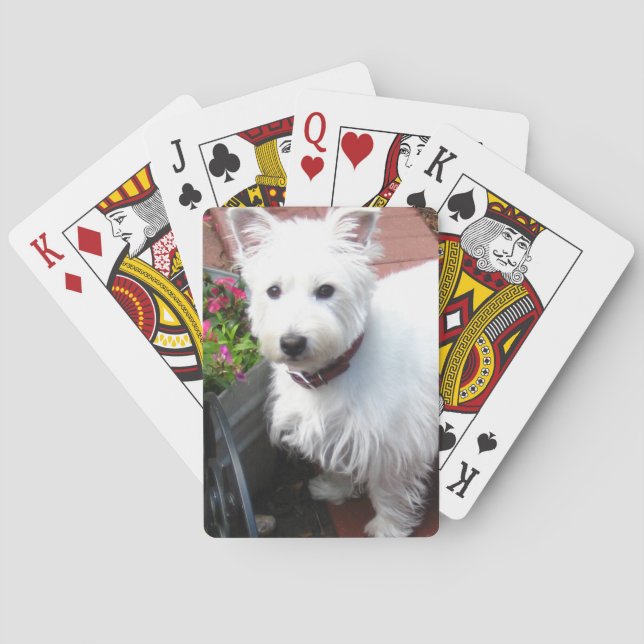 Adorable Westie playing cards (Back)