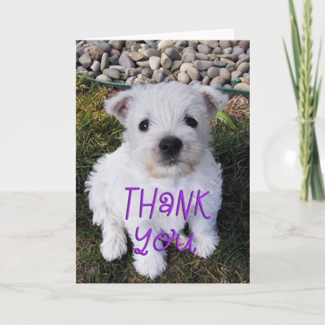 Adorable Westie Puppy Photo Thank You Card (Front)