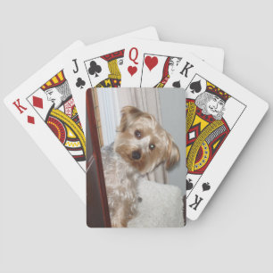 Adorable Westie/Yorkie Playing Cards