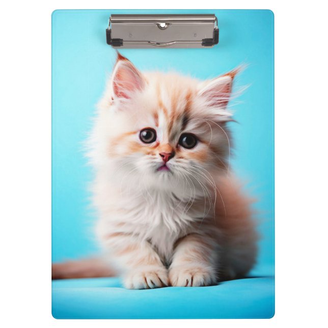Adorable White Kitten Potrait-54971 Clipboard (Front)