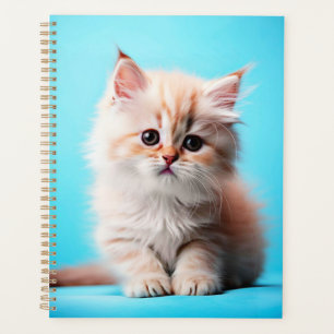 Adorable White Kitten Potrait-54971 Planner