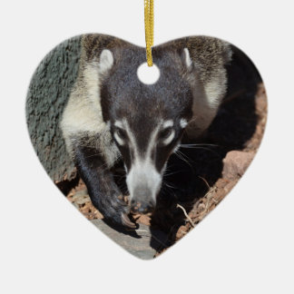 Adorable White Nosed Coati Ceramic Tree Decoration