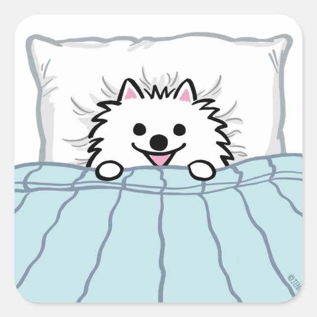 Adorable White Pomeranian Dog Tucked in Bed Square Sticker (Front)