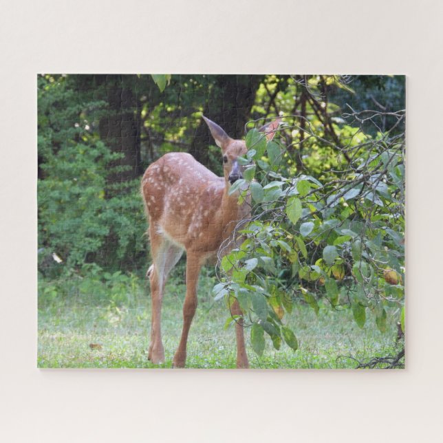 Adorable White Tail Deer Fawn Peeking Jigsaw Puzzle (Horizontal)