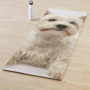 Adorable White West Highland Terrier Yoga Mat