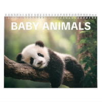 Adorable Wildlife Photography | Baby Animals Wall