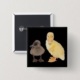 Adorable Yellow and Grey Duckling Photograph 15 Cm Square Badge