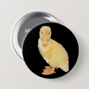 Adorable Yellow Duckling Close-Up Photograph 7.5 Cm Round Badge