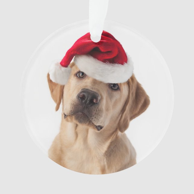 Adorable Yellow Lab with Santa Hat Ornament (Front)