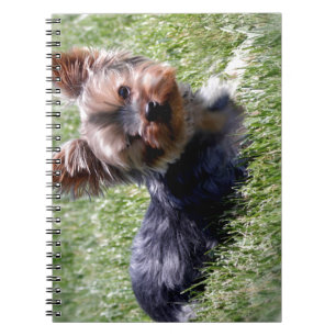 Adorable Yorkie Multiple Products Selected Spiral Notebook
