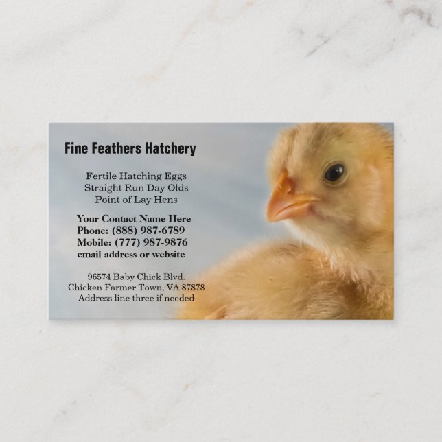 Adorably Cute Yellow Baby Chick Photo Business Card (Front)
