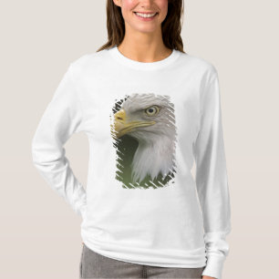 Adult Bald Eagle Portrait, Haliaeetus T-Shirt