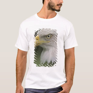 Adult Bald Eagle Portrait, Haliaeetus T-Shirt