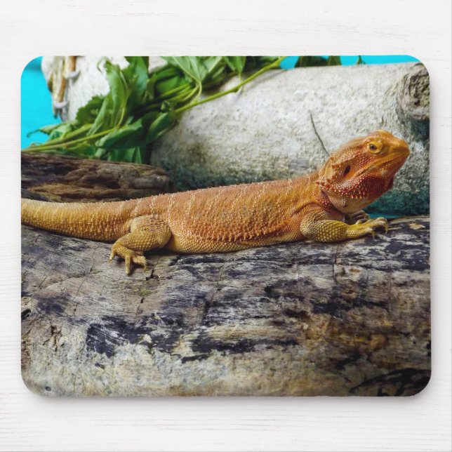 Adult Bearded Dragon Lizard Mouse Pad (Front)