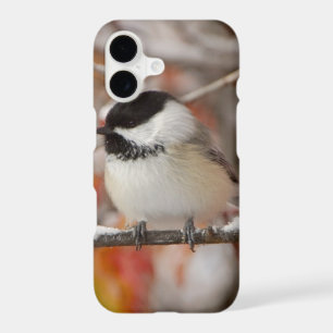 Adult Black-capped Chickadee in Snow