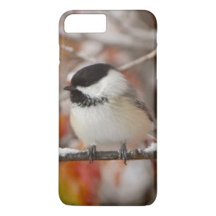 Adult Black-capped Chickadee in Snow Case-Mate iPhone Case