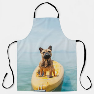 Adult brown French bulldog standing on kayak Apron