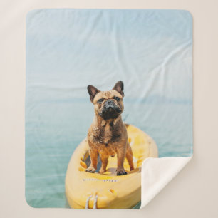Adult brown French bulldog standing on kayak Sherpa Blanket