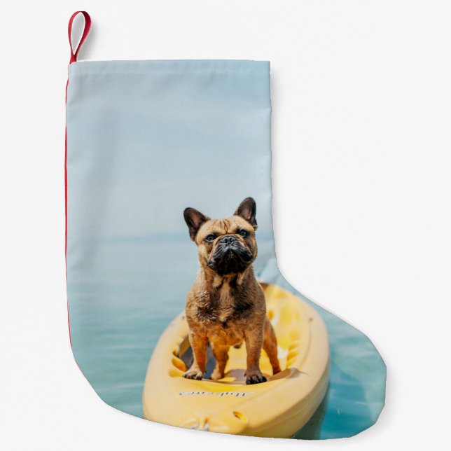 Adult brown French bulldog standing on kayak Small Christmas Stocking (Front)