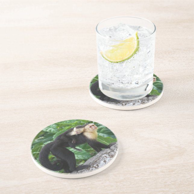 Adult Capuchin Monkey Carrying Baby On Its Back Coaster (Side)