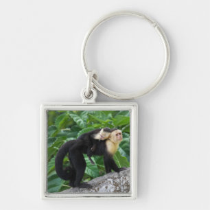 Adult Capuchin Monkey Carrying Baby On Its Back Key Ring
