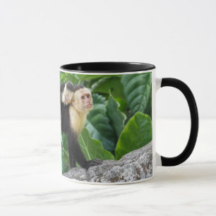 Adult Capuchin Monkey Carrying Baby On Its Back Mug