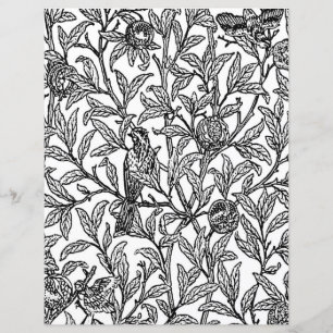 Adult Colouring Page, Morris Bird & Pomegranate