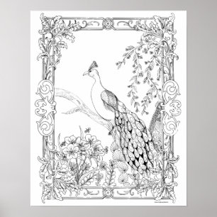 Adult Colouring Poster "Pretty as a Peacock Art"