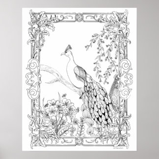 Adult Colouring Poster "Pretty as a Peacock Art"