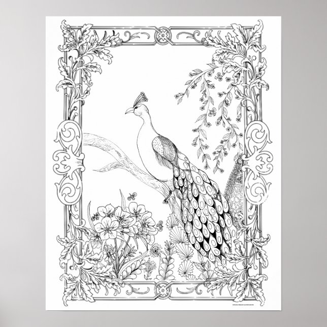 Adult Colouring Poster "Pretty as a Peacock Art" (Front)