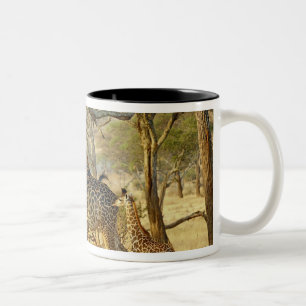 Adult female and juvenile Giraffe, Giraffa Two-Tone Coffee Mug