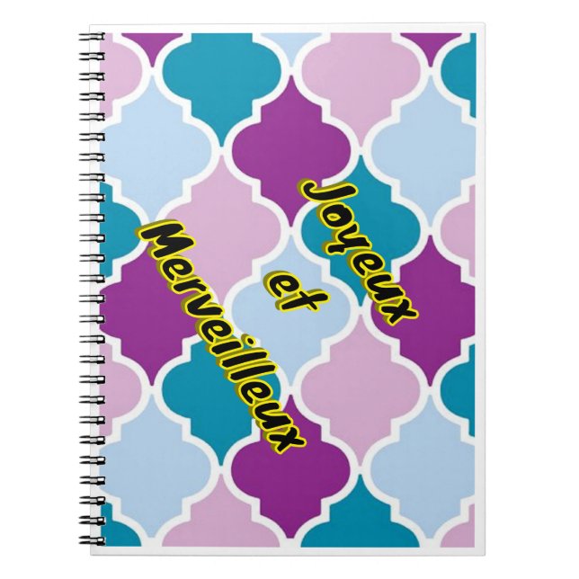 Adult flip flops, wide straps notebook (Front)