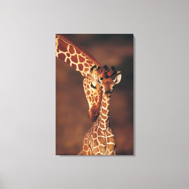 Adult Giraffe with calf (Giraffa camelopardalis) Canvas Print (Front)