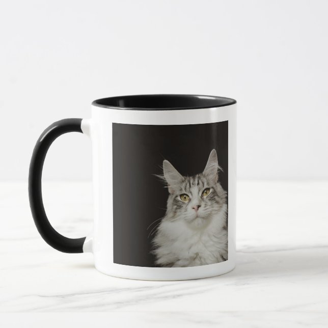 Adult Maine Coon Cat Mug (Left)